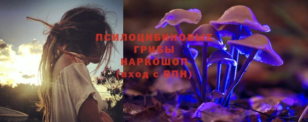 дживик Надым