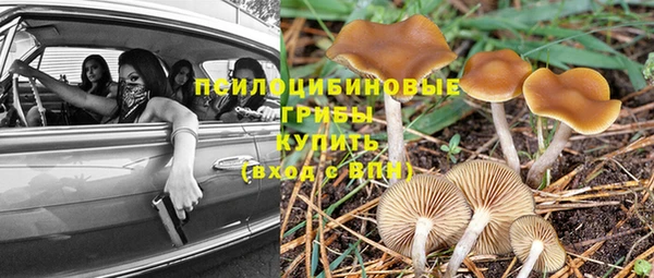 дживик Надым