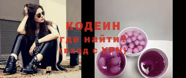 дживик Надым