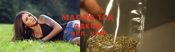 дживик Надым