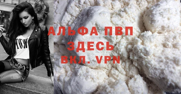 дживик Надым