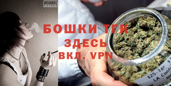 дживик Надым