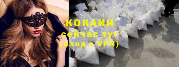 дживик Надым